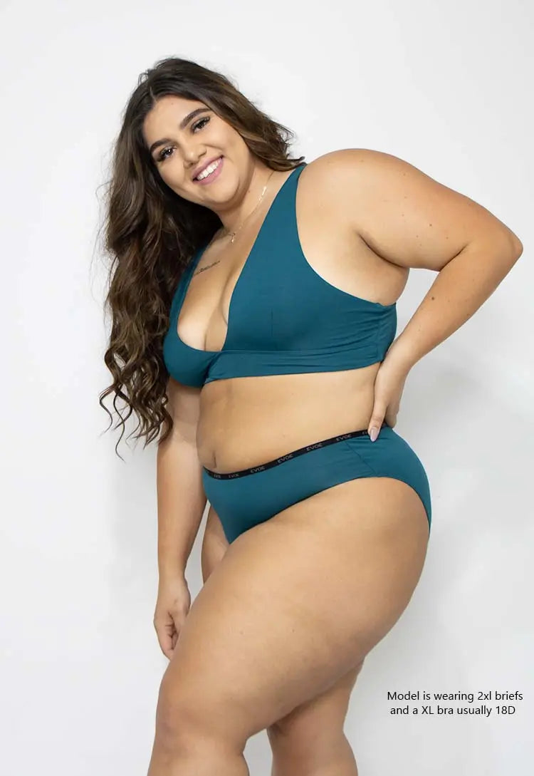 Mia Hipster Brief - Clearance Colours evoe australia