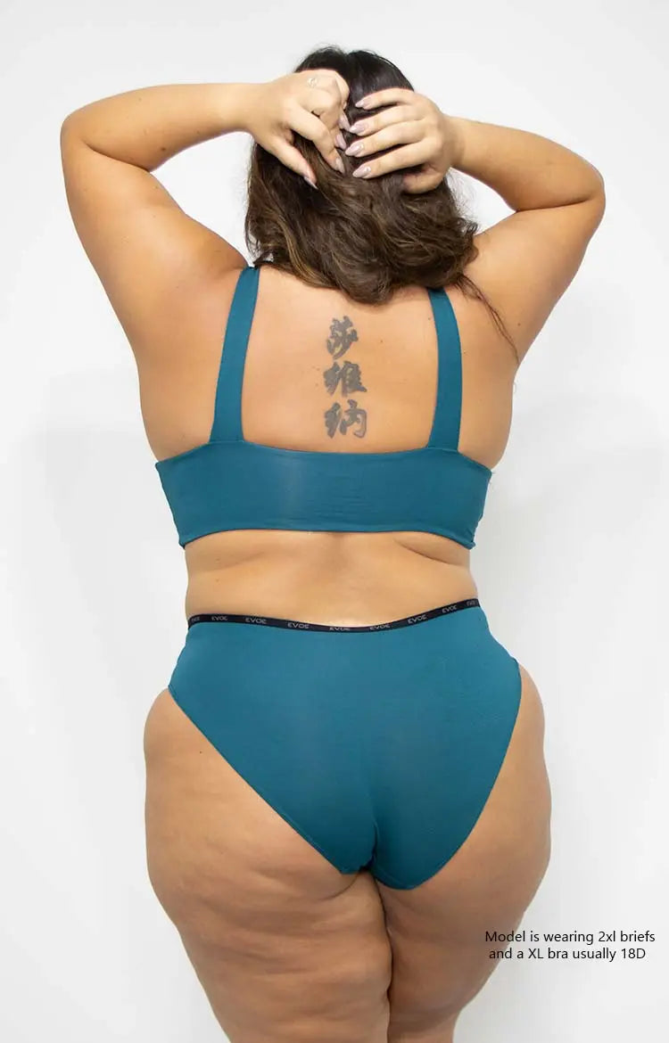 Mia Hipster Brief - Clearance Colours evoe australia